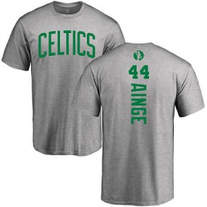 Nike NBA T-Shirts De Basket Danny Ainge Boston Celtics No.44 Ash Backer Homme & Enfant